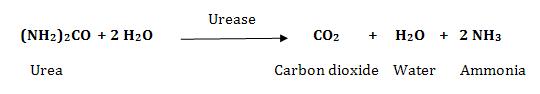 urease test principle media procedure and result urease test